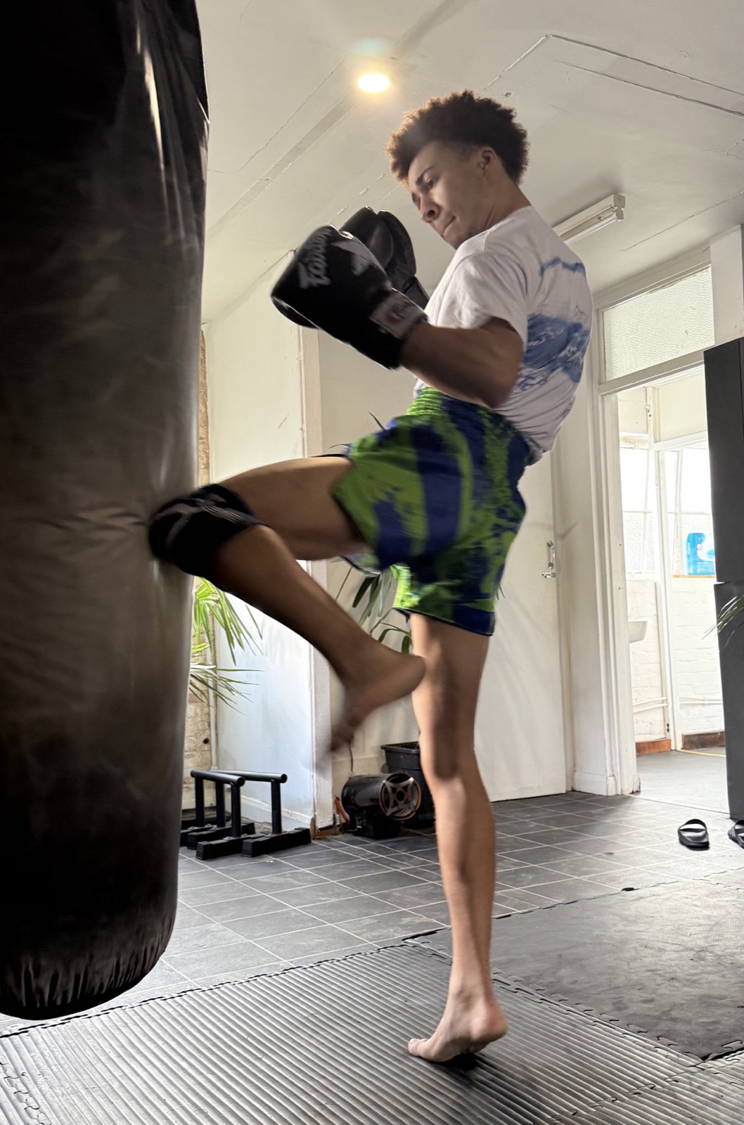 Martial Arts Training at Xin Dojo